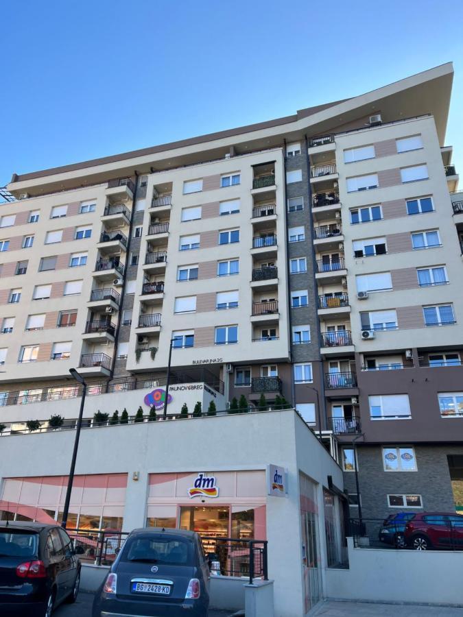 Paunov Breg Apartment Белград Екстериор снимка
